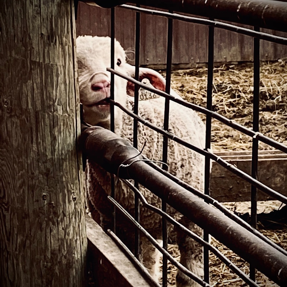 Meet your Posher, Kathryn